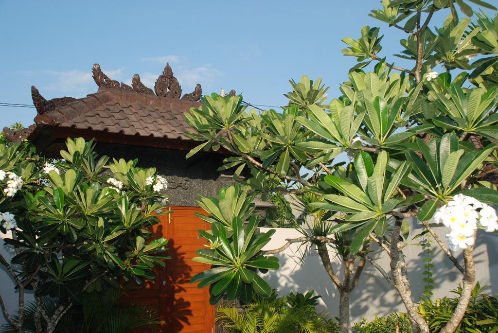 In Seminyak (Bali)